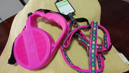 Harness and leash