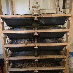 Rat Breeding Rack