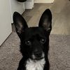 Billy