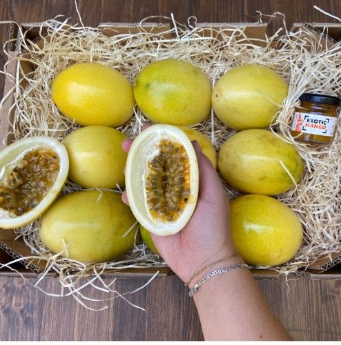 Passion Fruit Tree- Maracuya