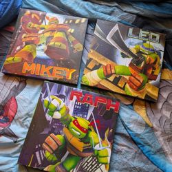 Mutant Ninja Turtles Boys Room Wall Art Decor 