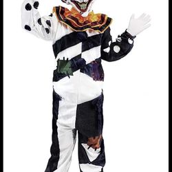 Child, Scary, Clown Costume Size Small, Halloween, Cosplay