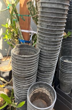 Pots 1g