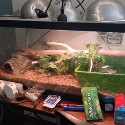40 Gallon Breeder Tank With Bp