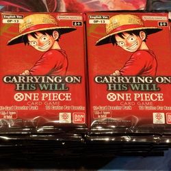 One Piece OP 13 Carrying On His Will