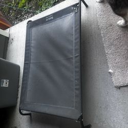 Elevated Dog Bed 