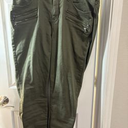 Torrid Pants Skinny Jeans