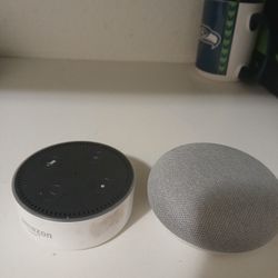 Amazon Alexa And Google Mini