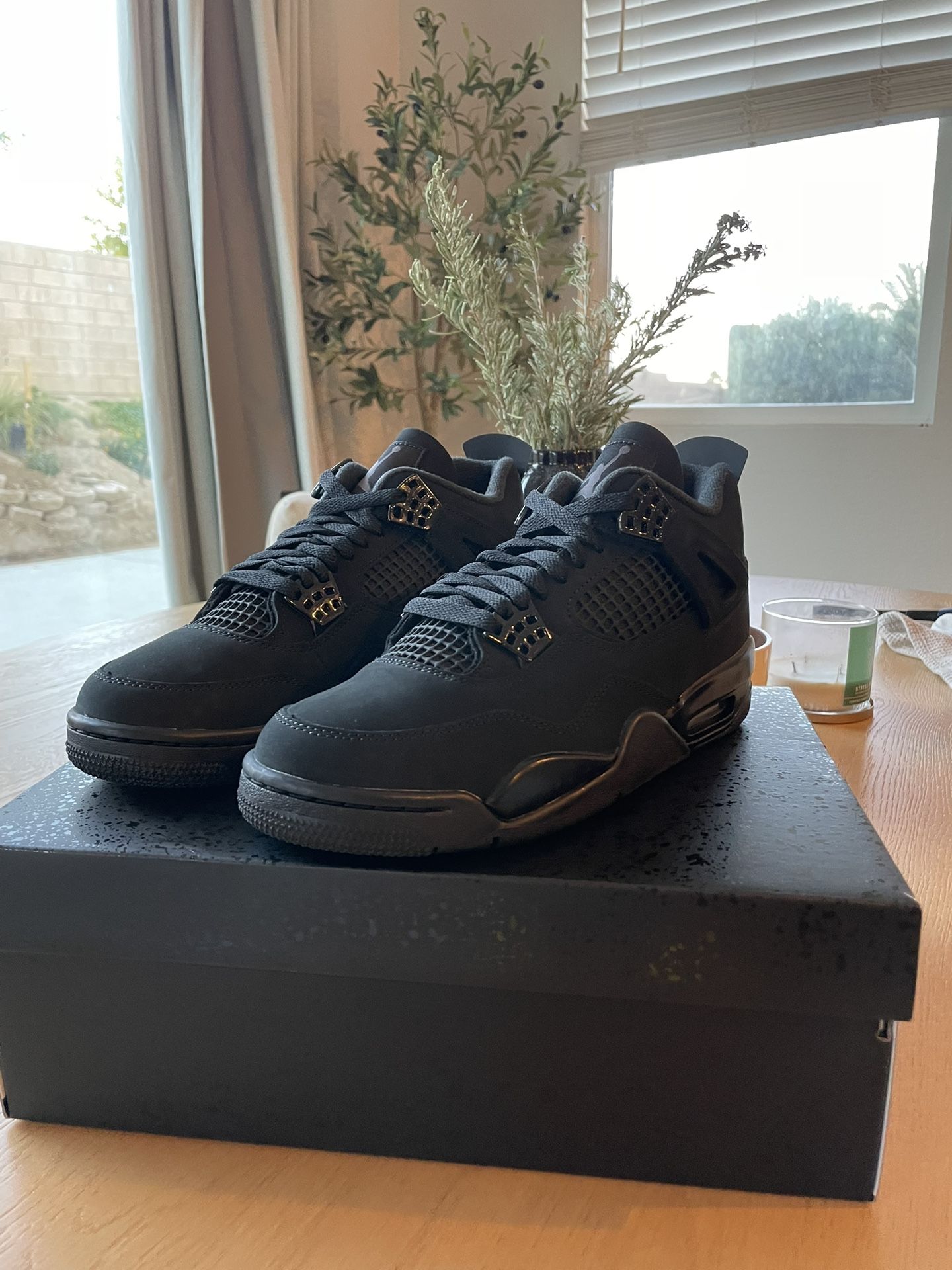 Air Jordan 4 Black Cat