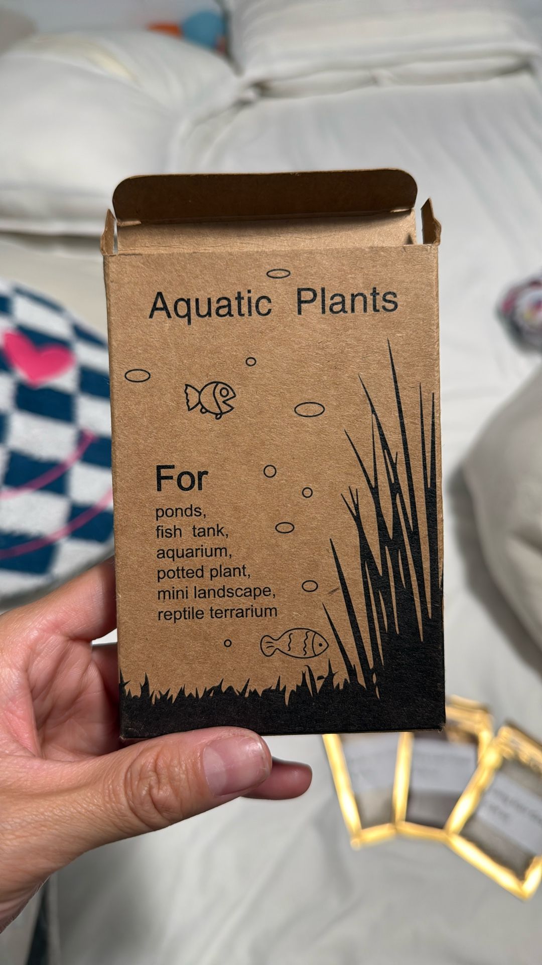 fish tank plants