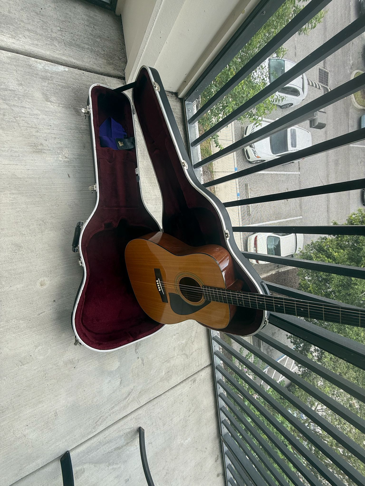 Guitar