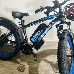 electric bicycle