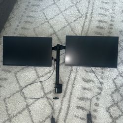 LG Dual Monitors 