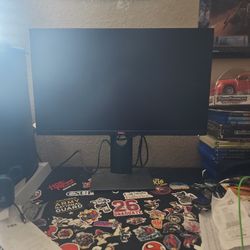 Dell 24 Inch Monitor