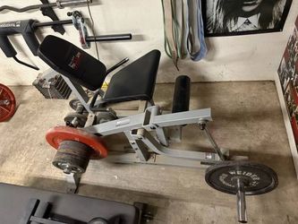 Leg Extension & Leg Curl Machines