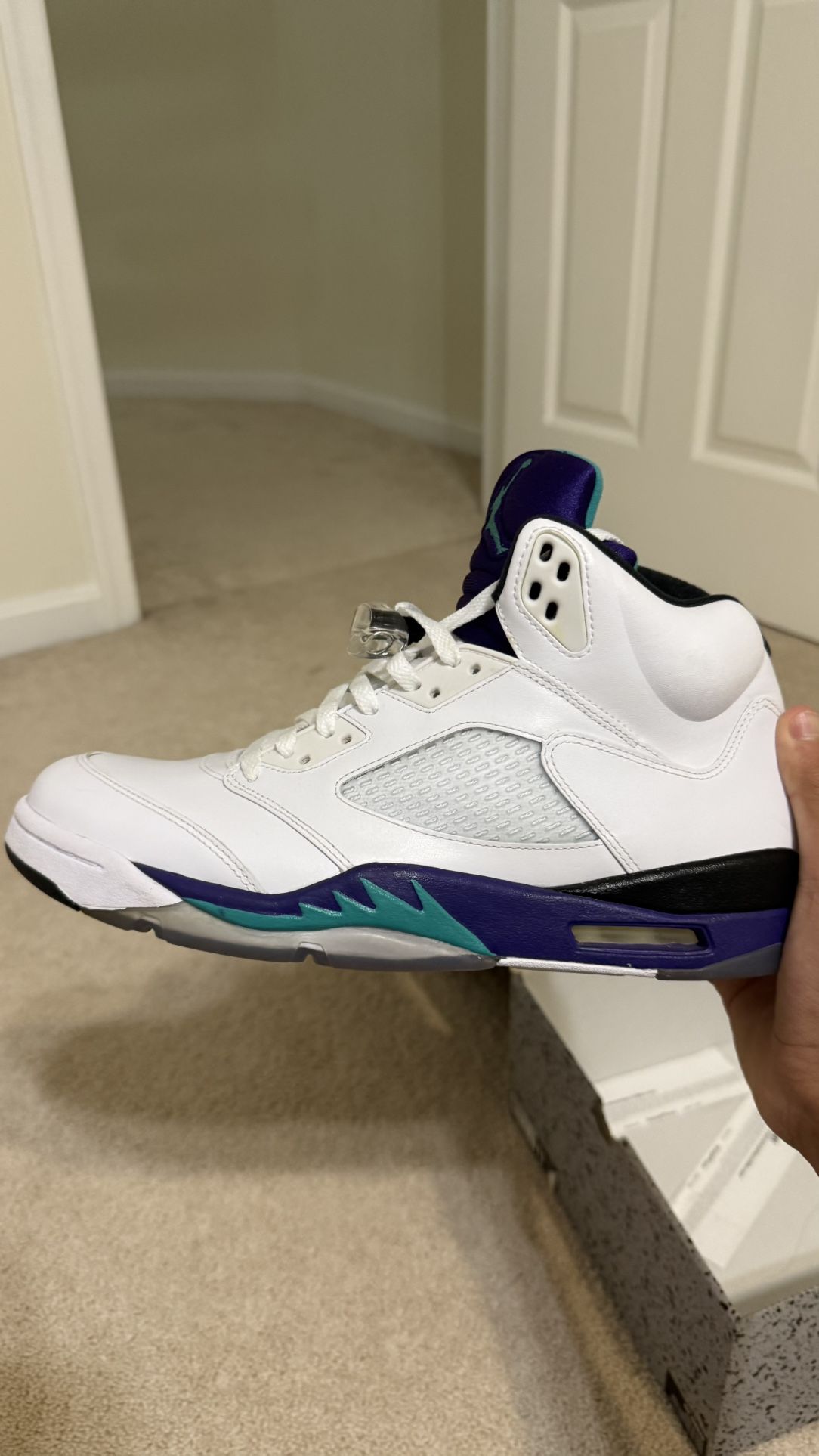Jordan 5 grape - size 11 2013