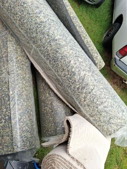 Carpet cushions