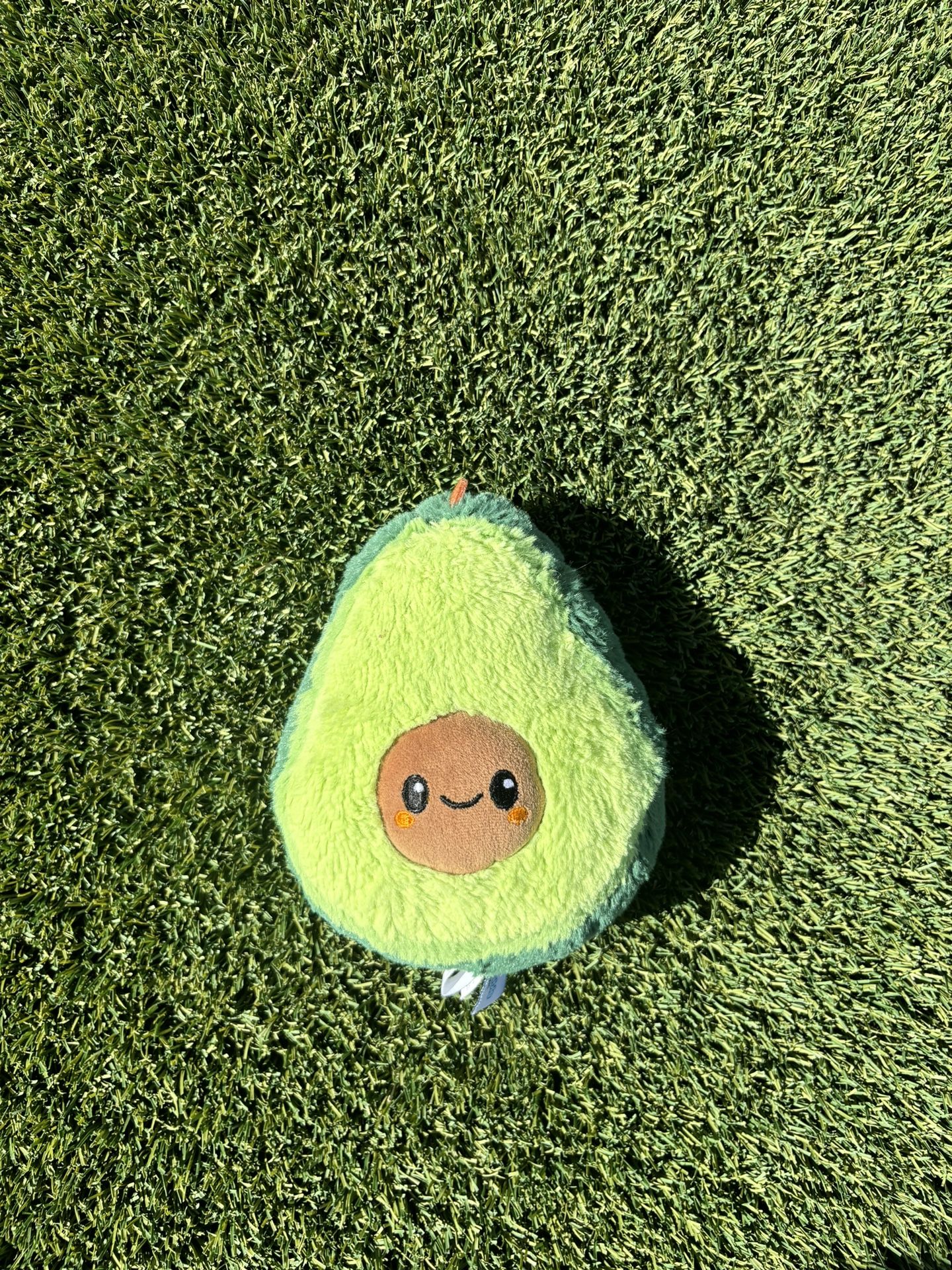Avocado plushie