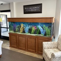 200gal Glass Aquarium Pre Owned Full Set Up