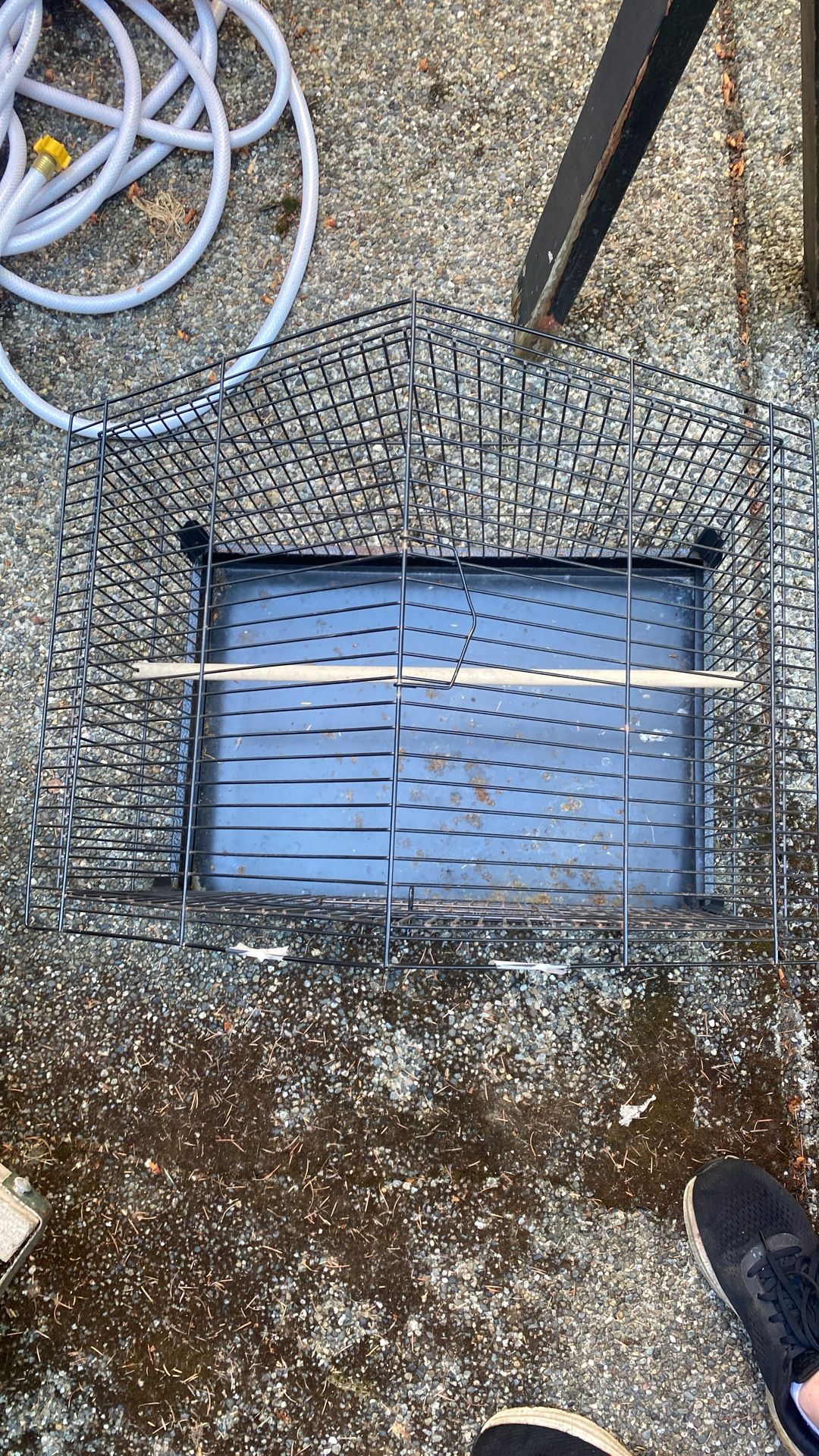 Birdcage