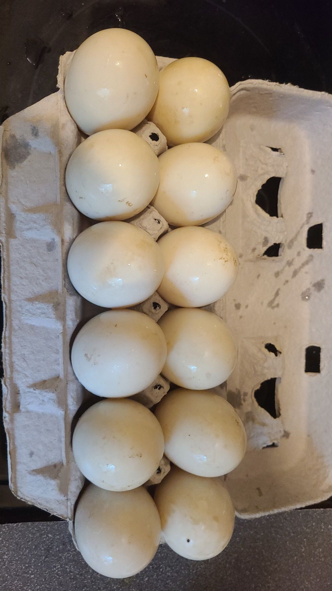 Dozen duck eggs