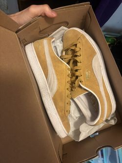 Pumas