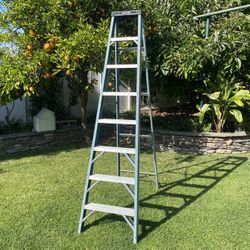 Gd. Cond. Werner 8 Ft Fiberglass Step Ladder