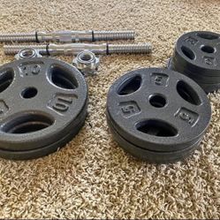 Weight Plates with handle and case