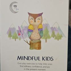 LITTLE RENEGADES MINDFUL KIDS CARDS AGES 3+ EVERYDAY EXERCISES