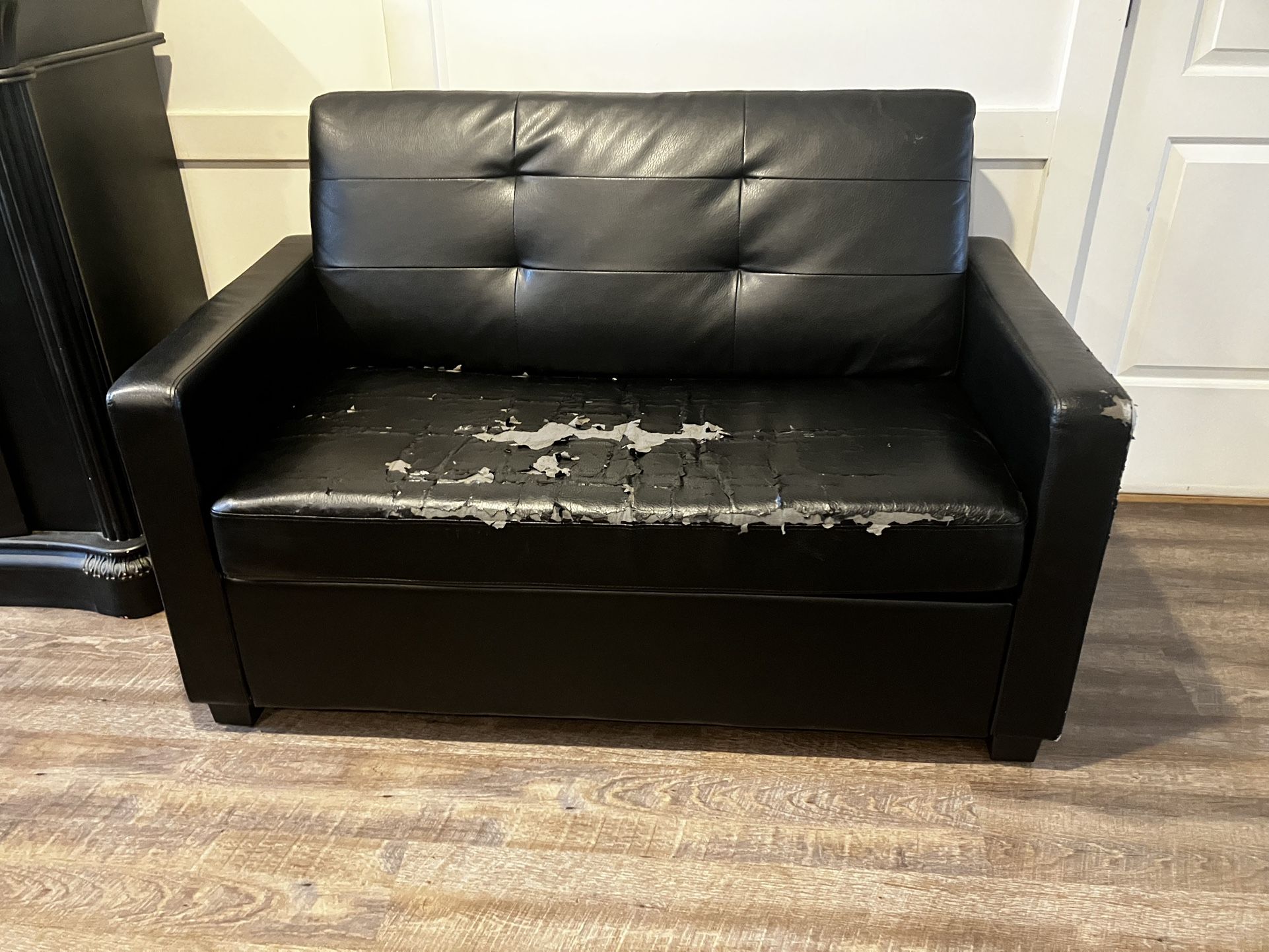 FREE Twin Sofa Bed