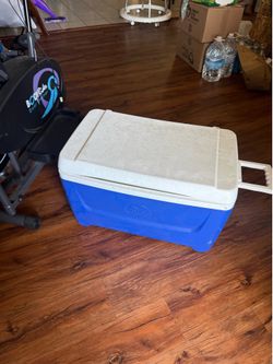 Cooler 15 bucks as is