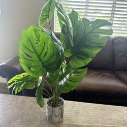 Faux Monstera Over 2ft