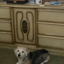 Bedroom Set (credenza, Nightstand, And Dresser)