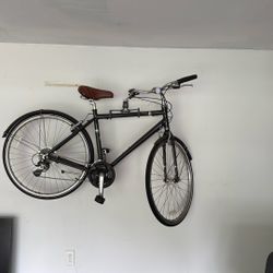 Trek Bike Allant 20”