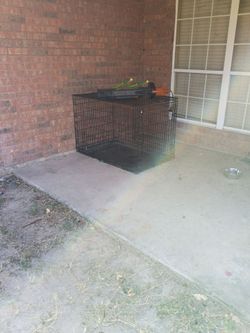 Big dog cage