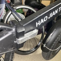 Fat Tire E-bike