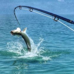 Fly Fishing Reel 12/13 Weight for Sale in Delray Beach, FL - OfferUp