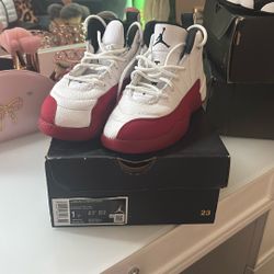 Kids Retro 12 Jordan Size 1y