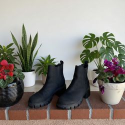 Women’s ankle boots (size 7)