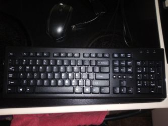 Brand new wired mouse and keyboard.came with pc. Dont need