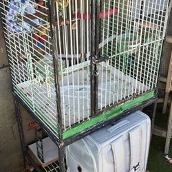 Bird Cage