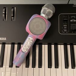 Karaoke/Voice Effect Microphone
