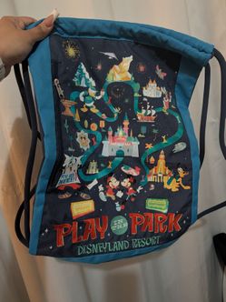 DISNEY PARK BACKPACK
