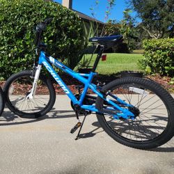 Schwinn Koen & Elm BMX Style Kids Bike 20-Inch Wheels