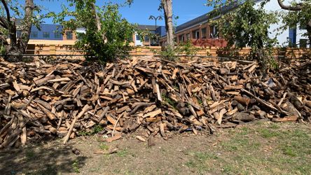 WOOD FOR SALE