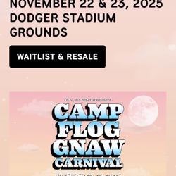 Camp Flog Gnaw VIP. 2 Day Wristbands 