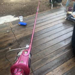 Firebird fishing pool