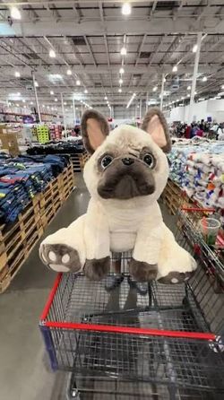 Peluche Gigante De Costco NUEVO