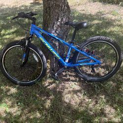 Schwinn Thrasher 24” Mountain Bike