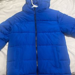 Blue Puffer